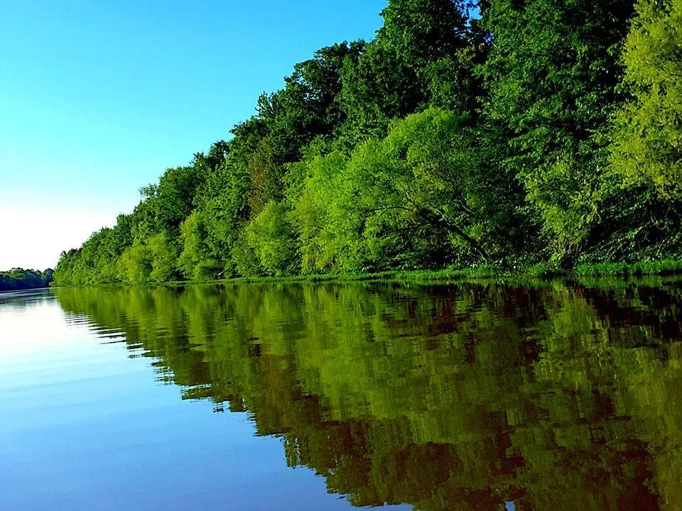 Summer lake img
