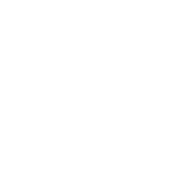 lake icon